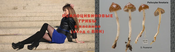 мдма Нефтегорск
