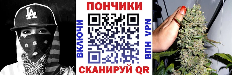Каннабис AK-47  Купить закладки  Зеленоградск 